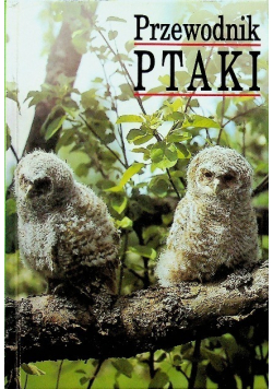 Przewodnik Ptaki