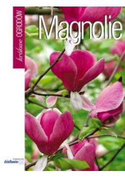 Magnolie