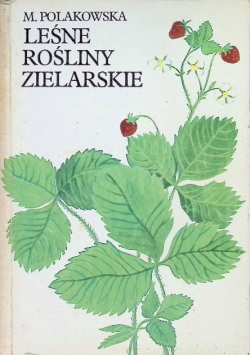 Leśne rośliny zielarskie