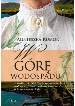 W górę wodospadu