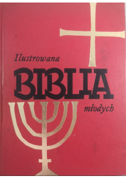 Ilustrowana Biblia młodych