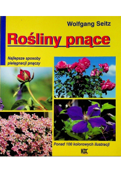 Rośliny Pnące