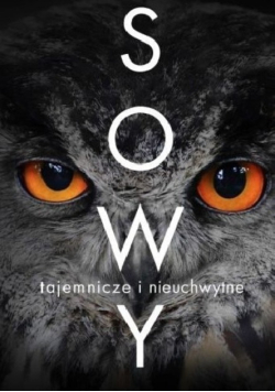 Sowy tajemnicze i nieuchwytne