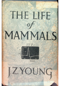 The life of mammals
