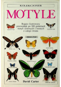 Kolekcjoner Motyle
