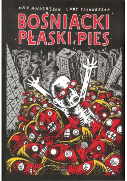 Bośniacki płaski pies