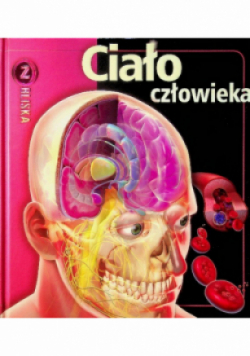 Z Bliska Ciało człowieka
