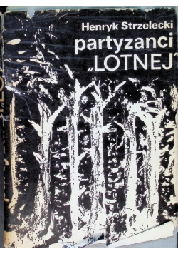 Partyzanci lotnej
