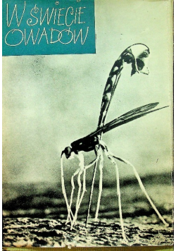 W świecie owadów