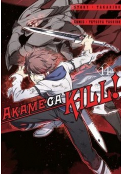 Akame ga Kill Tom 14