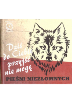 Dziś do ciebie przyjść nie mogę