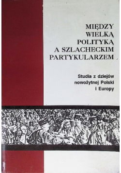 Między wielką polityką a szlacheckim partykularzem