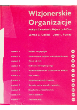 Wizjonerskie organizacje