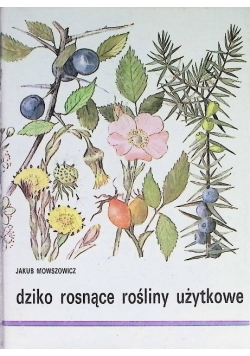 Dziko rosnące rośliny użytkowe