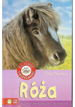 Róża Kucyk który tęskni za domem