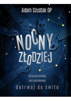 Nocny złodziej