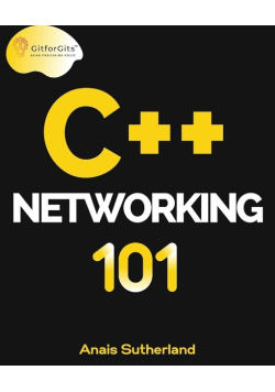 C++ Networking 101