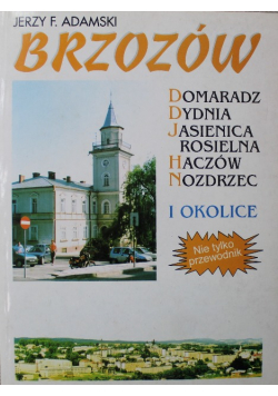 Brzozów i okolice