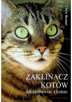 Zaklinacz kotów Jak rozmawiać z kotem