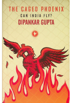 The Caged Phoenix: Can India Fly?
