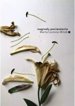 Nagrody pocieszenia