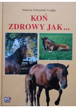 Koń zdrowy jak