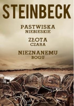 Pastwiska niebieskie Złota czara Nieznanemu bogu