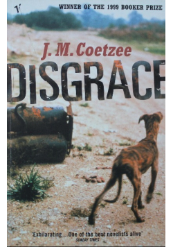 Disgrace