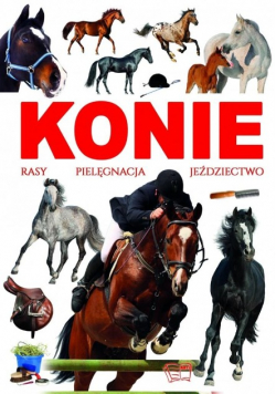 Konie rasy, pielęgnacja, jeździectwo