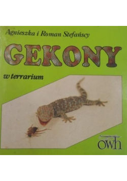 Gekony w terrarium