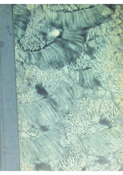 O dawnych łowach i dawnej zwierzynie 1925 r.