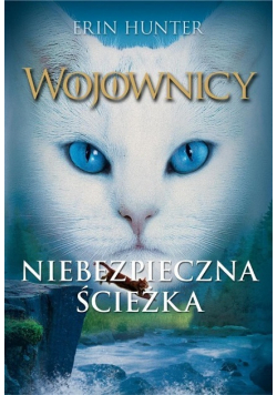 Niebezpieczna ścieżka