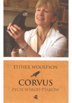Corvus Życie wśród ptaków