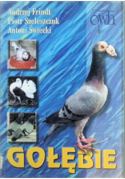 Gołębie