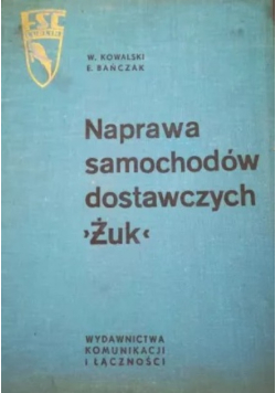 Naprawa samochodów dostawczych Żuk