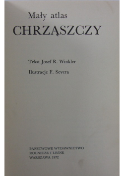 Mały atlas chrząszczy