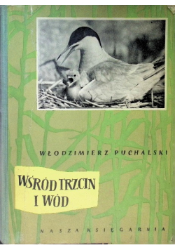 Wśród trzcin i wód