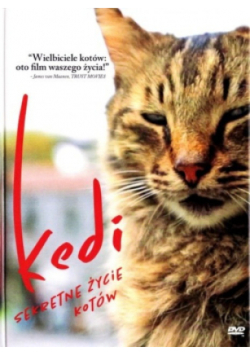 Kedi Sekretne życie kotów