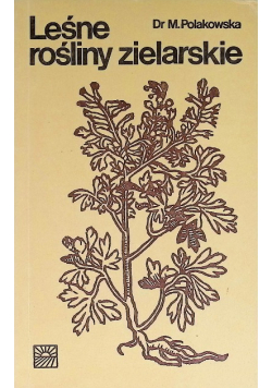 Leśne rośliny zielarskie
