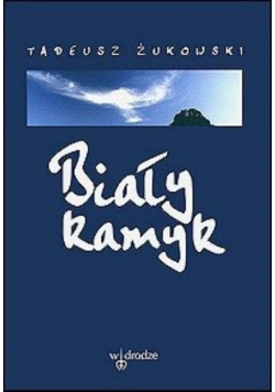 Biały kamyk