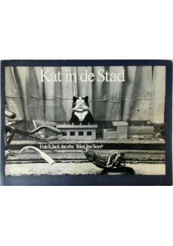 Kat in de stad Soer