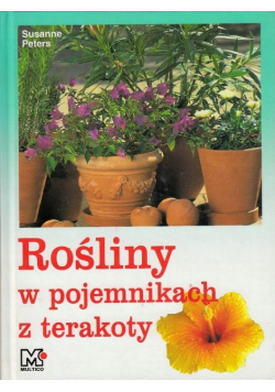 Rośliny Egzotyczne W Pojemnikach Z Terakoty Pomysły I Porady