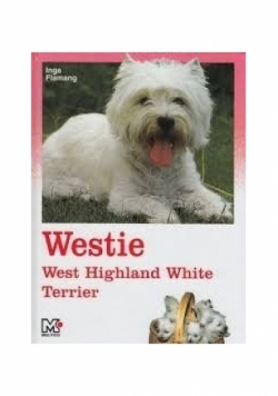 Westie west highland white terrier