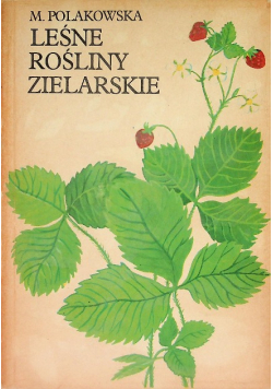 Leśne rośliny zielarskie