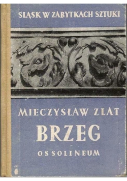 Śląsk w zabytkach sztuki Brzeg