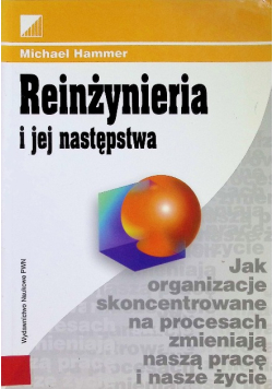 Reinżynieria i jej następstwa