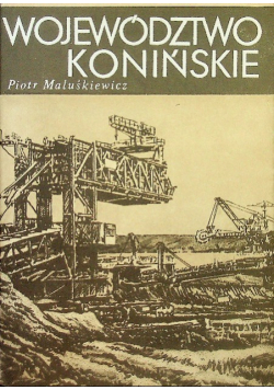 Województwo konińskie