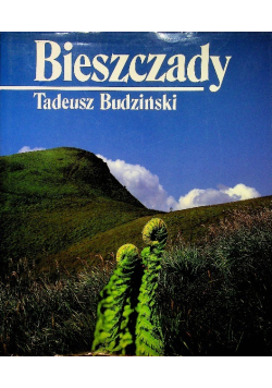 Bieszczady