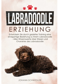 Labradoodle Erziehung: Entwickeln Sie durch gezielt