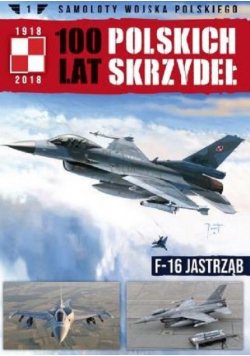 Samoloty Wojska Polskiego 100 lat polskich skrzydeł Tom 1 F 16 Jastrząb